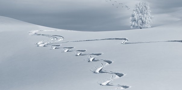 wintry-2068298__340.jpg